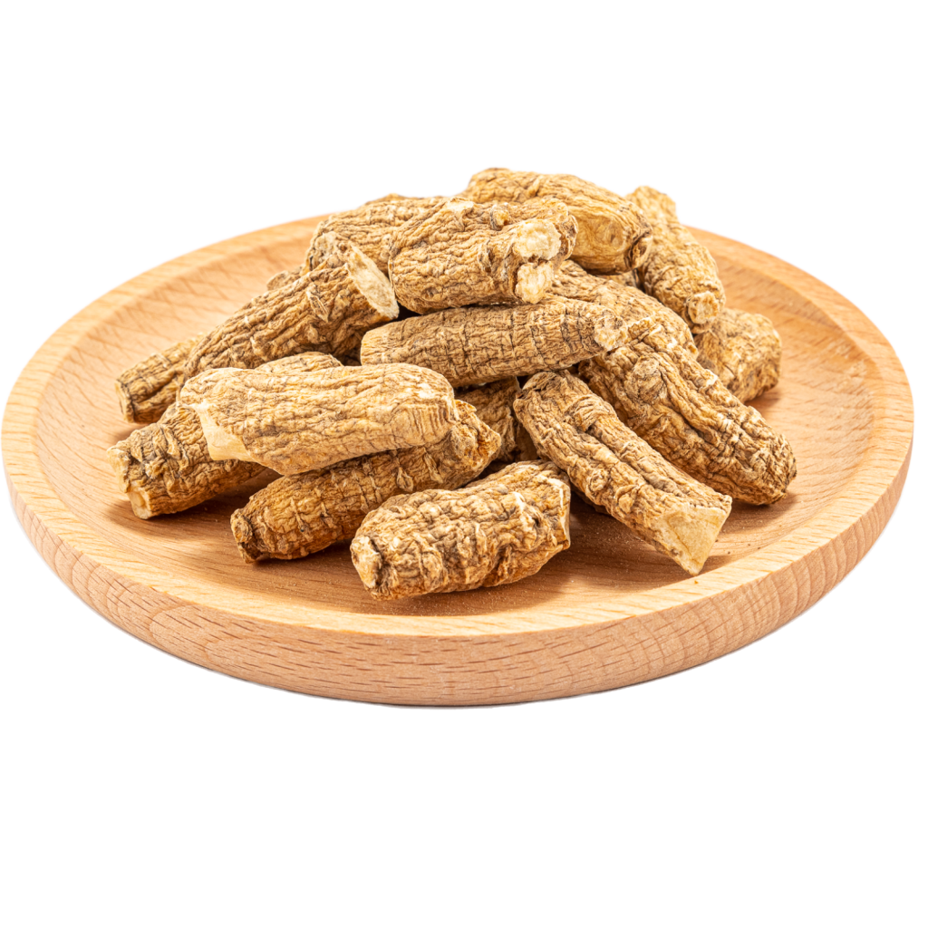 Wisconsin American Ginseng (5 years)(M) - Think Value
